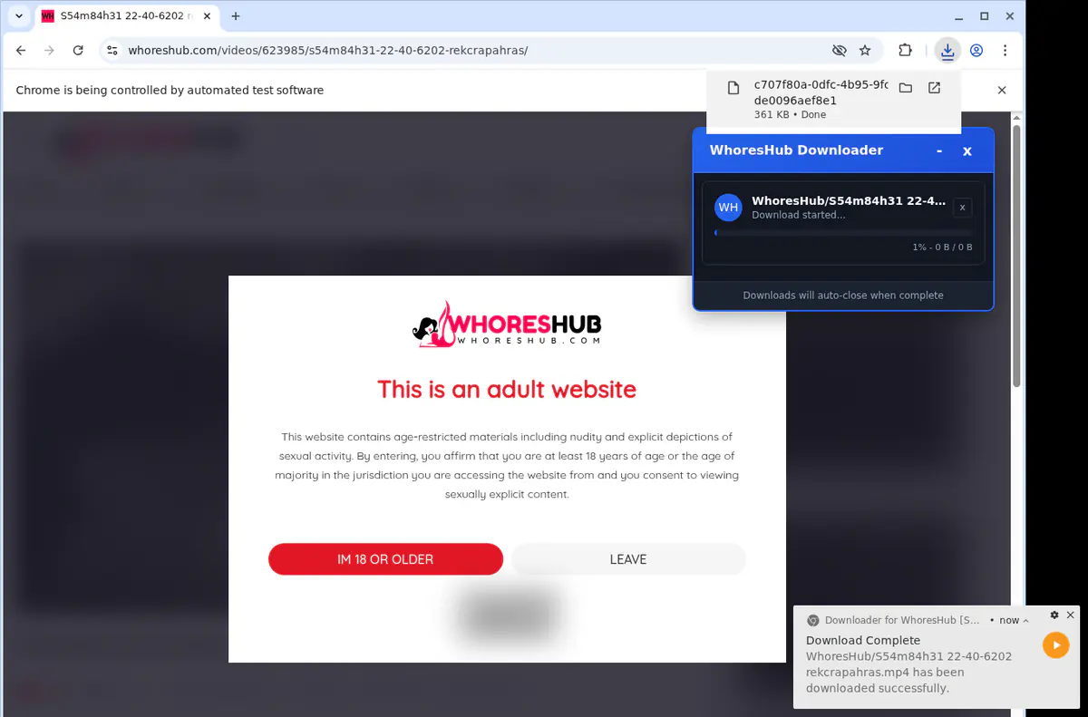 Whoreshub Video Downloader browser extension screenshot 2
