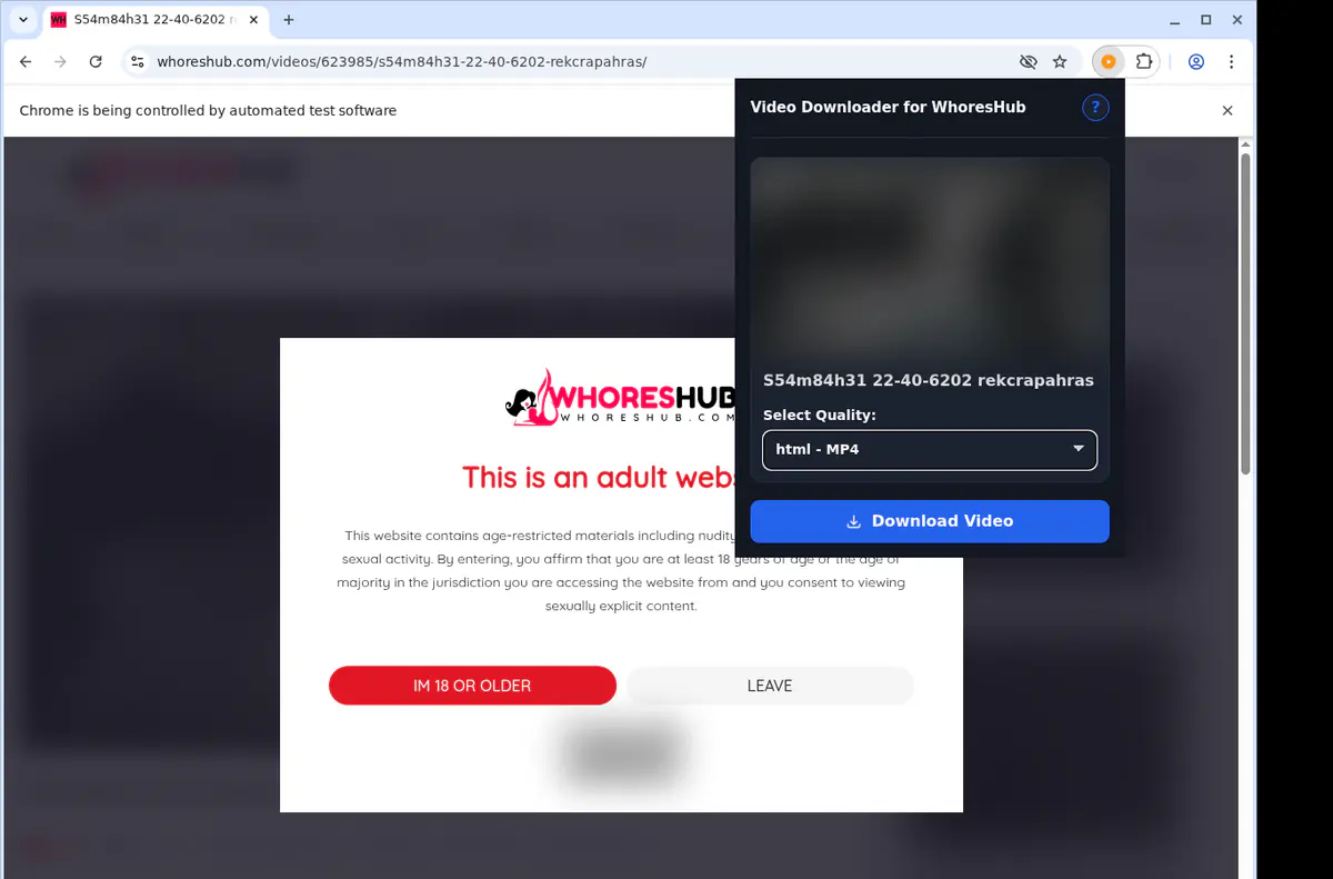 Whoreshub Video Downloader browser extension screenshot 3