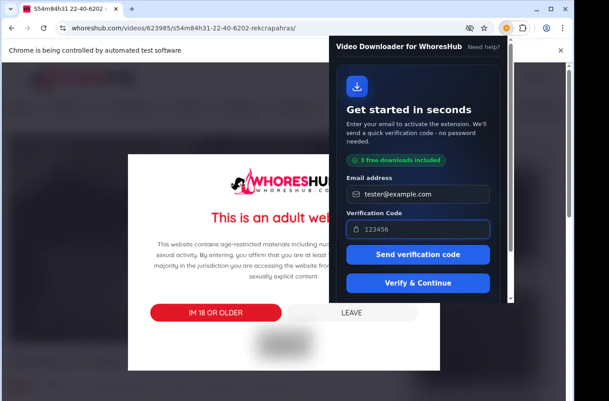 Whoreshub Video Downloader browser extension screenshot 4
