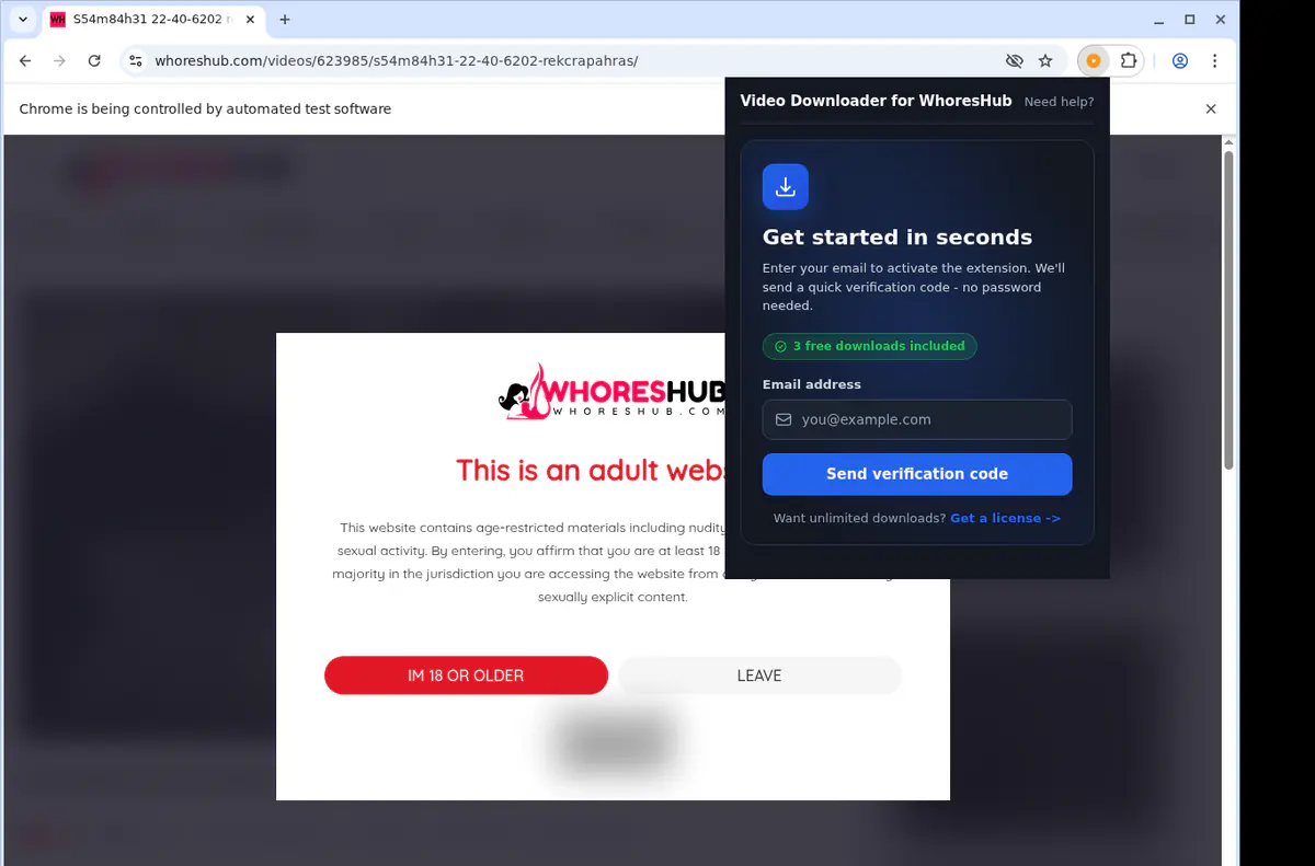 Whoreshub Video Downloader browser extension screenshot 5